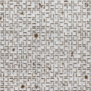 366-Crosscut-Distressed Brown-Glue Up Only